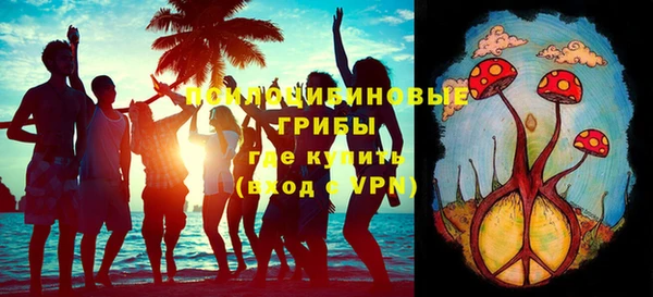 стаф Зеленокумск