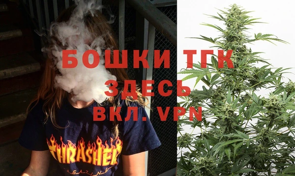 стаф Зеленокумск